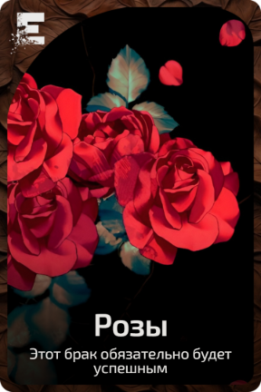 Розы