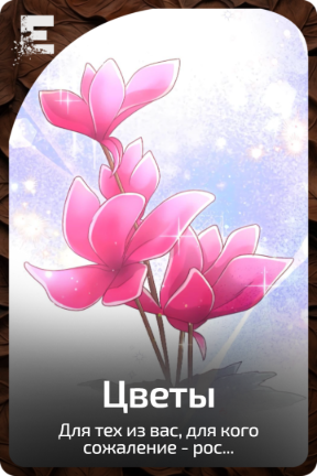Цветы