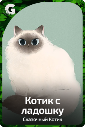 Котик с ладошку