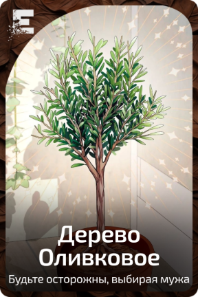 Дерево Оливковое