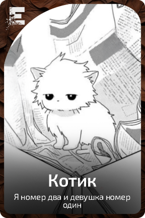 Котик