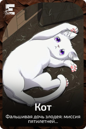 Кот