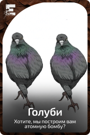 Голуби