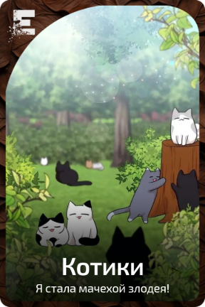 Котики