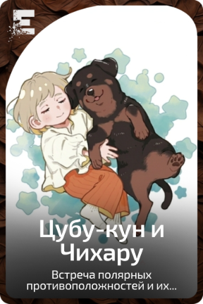 Цубу-кун и Чихару