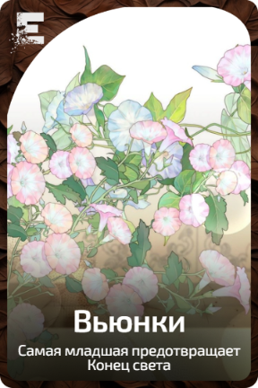 Вьюнки