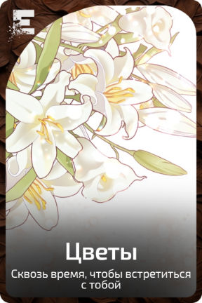Цветы