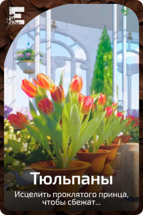 Тюльпаны