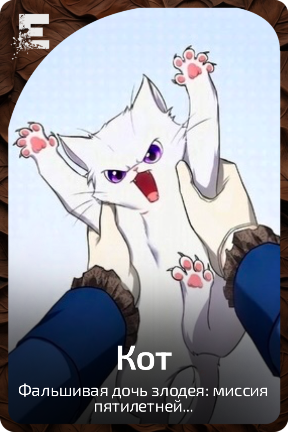 Кот