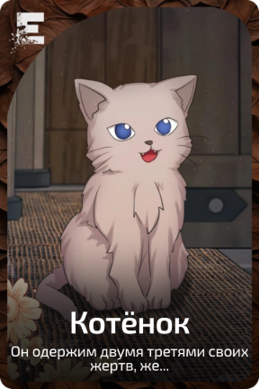 Котенок