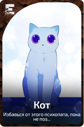 Кот
