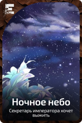 Ночное небо