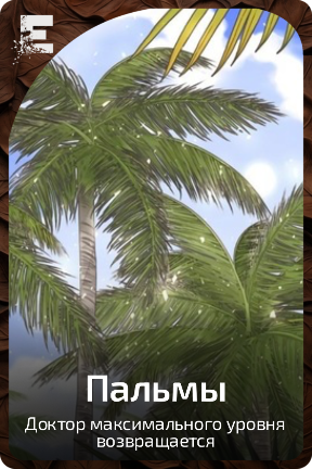 Пальмы