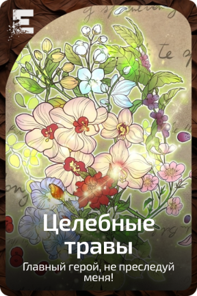 Целебные травы