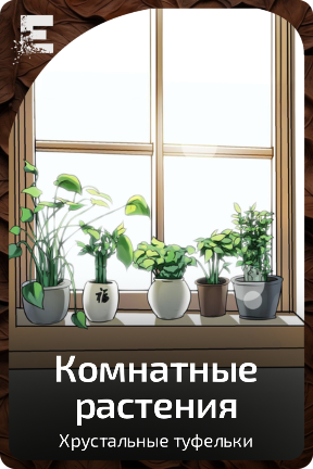 Комнатные растения