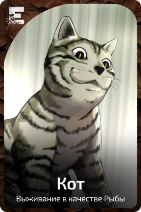 Кот