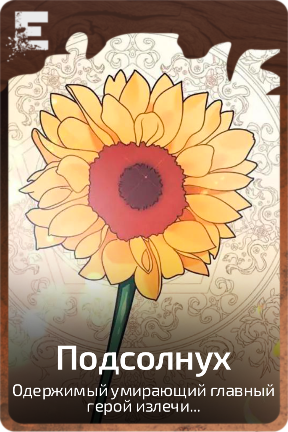 Подсолнух
