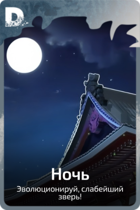 Ночь