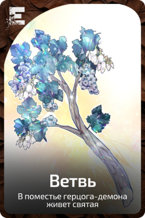 Ветвь