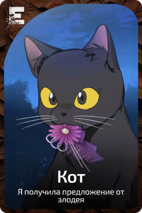 Кот