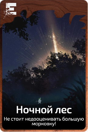 Ночной лес