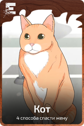 Кот