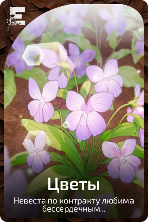 Цветы
