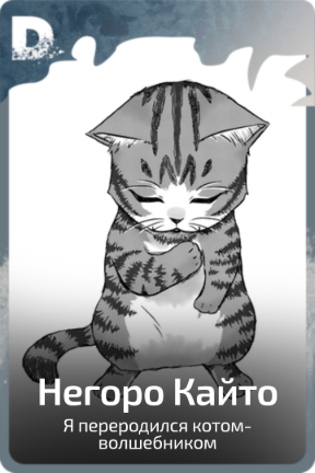Негоро Кайто