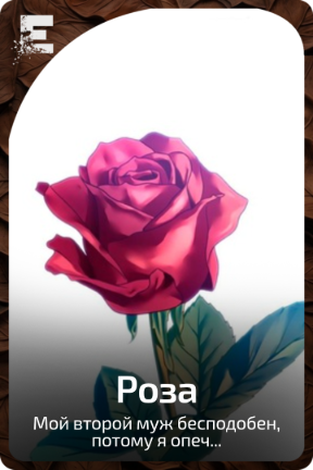 Роза