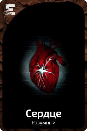 Сердце
