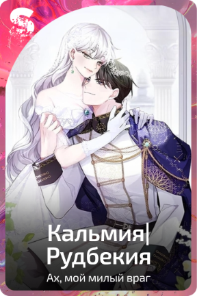 Кальмия|Рудбекия