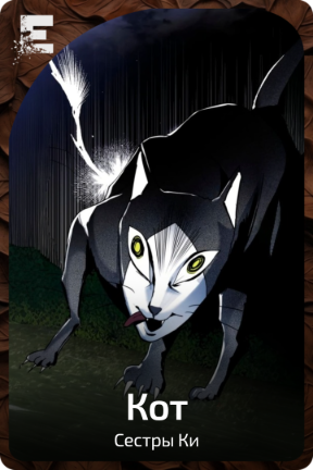 Кот