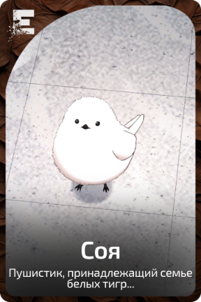 Соя