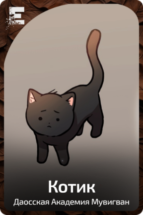Котик