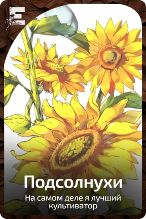 Подсолнухи