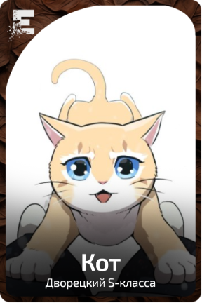 Кот