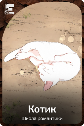 Котик