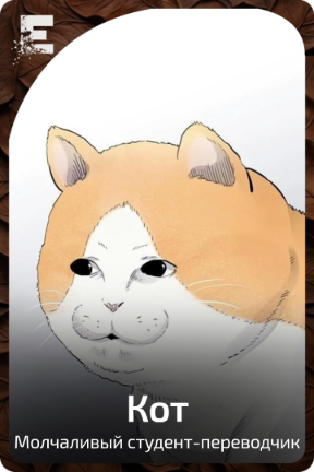 Кот