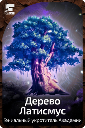 Дерево Латисмус