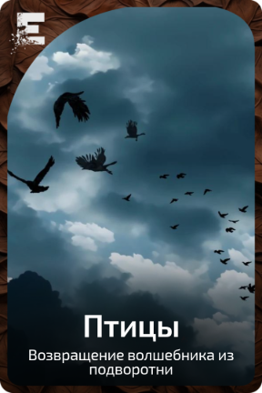 Птицы