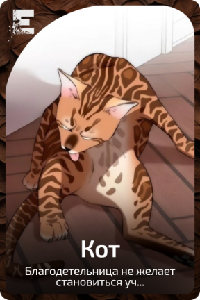 Кот