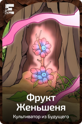 Фрукт Женьшеня