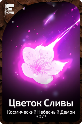 Цветок Сливы