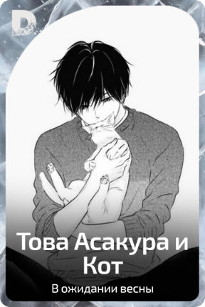 Това Асакура и Кот