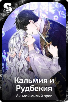 Кальмия и Рудбекия