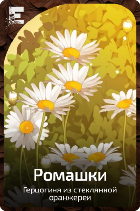 Ромашки