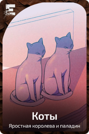 Коты
