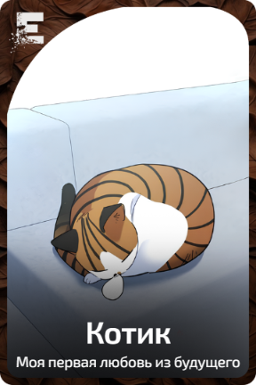Котик