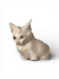 Статус