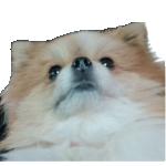 Статус